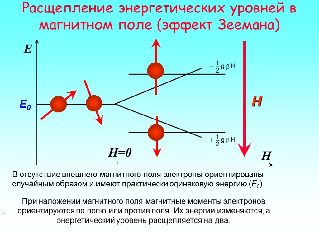 H E При наложении магнитного поля магнитные моменты электронов ориентируются по полю или против